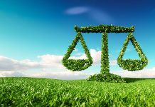 Analysing the scope and implementation of the Green Procurement Scheme and eco taxation in India