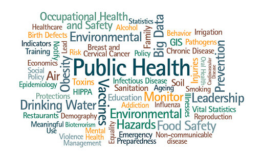 Public health and the role of government - iPleaders