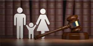 Types of cases addressed in family courts iPleaders