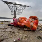 DE24-PTI9242018000113A