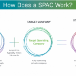 Screenshot_2021-03-30 Kingshuk_Saha_132429Impact of SPAC in India_F docx
