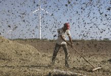 Climate change and intellectual property rights