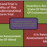 Screenshot_2021-04-29 Swati_Mishra_132968Competency to Stand trial docx(2)