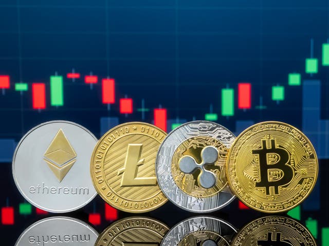 broker bitcoin canada calculați profitul investițiilor bitcoin