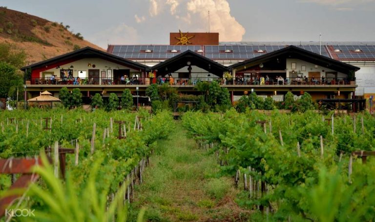 Drafting the key clauses of Sula Vineyard’s web development agreement