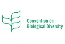 Study on the relationship between the WTO’s IP Agreement and the Convention on Biological Diversity