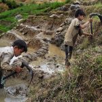 Child labour in third world countries