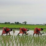 Commentary_Jayshree_Sengupta-1280×720 (1)