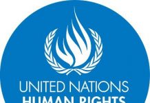 UN’s Human Rights bodies and the Palestine crisis UN-human-rights