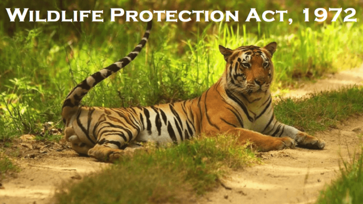 Wildlife Protection Act, 1972 - iPleaders