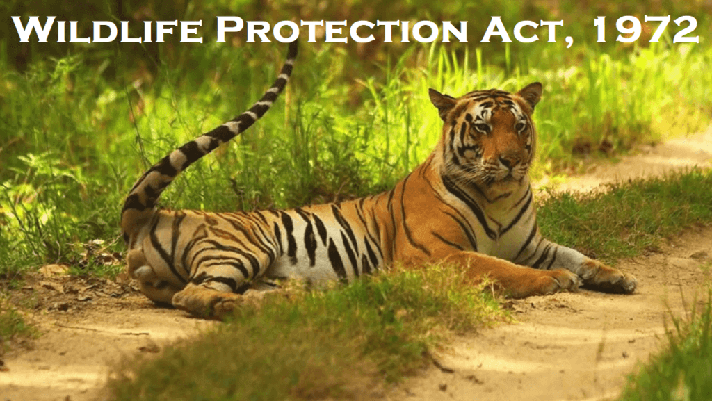 Wildlife Protection Act, 1972 - iPleaders