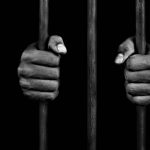 c2wjucoxnvudfoao1ky6 (1)