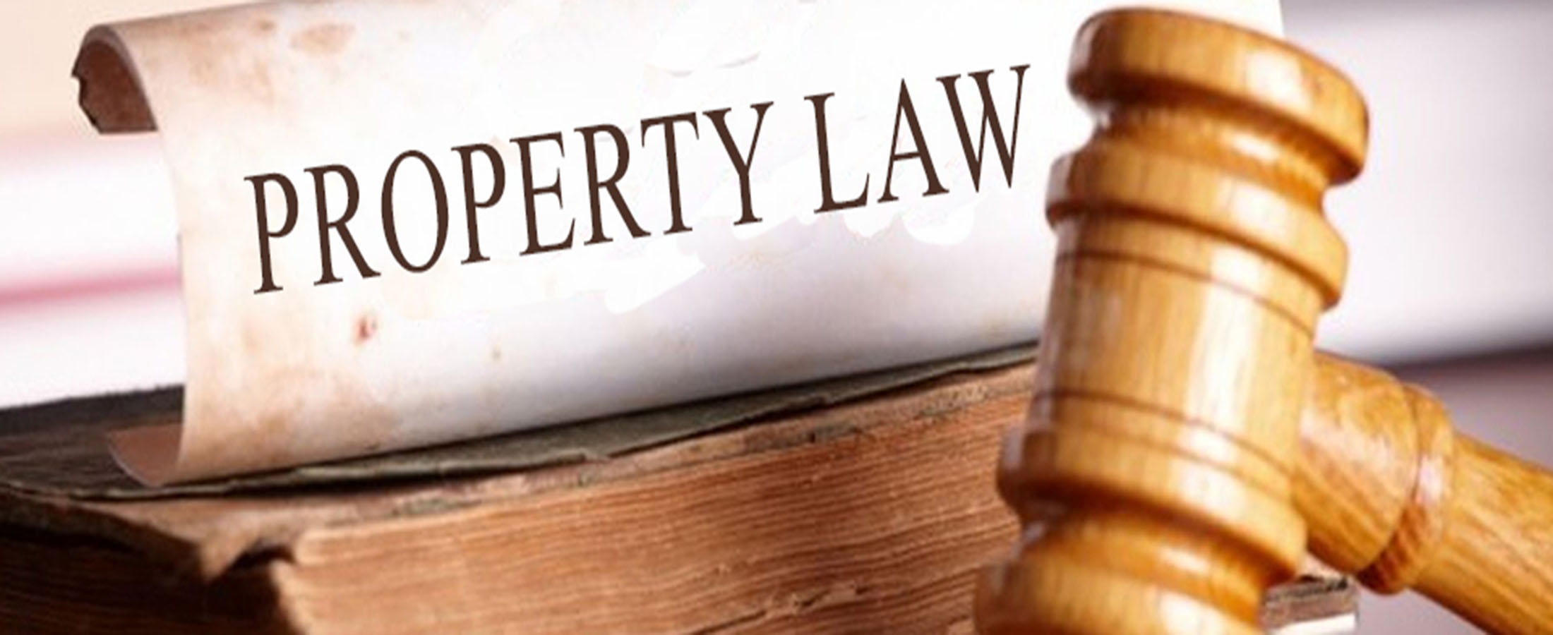 property law assignment definition