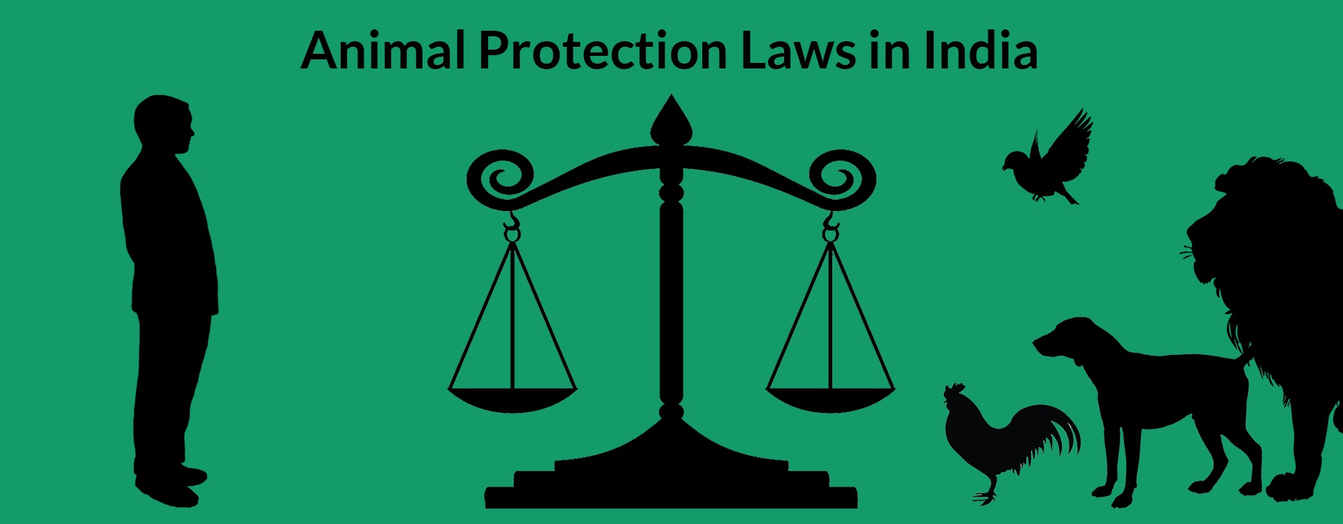 An overview of animal protection laws in India - iPleaders
