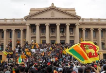 The Sri Lankan crisis and sovereign domestic debt