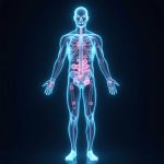 human-body-living-cells-illustration